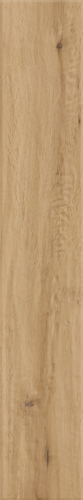 ragno woodstory r5qs.jpg