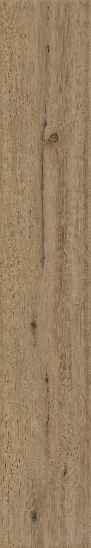 ragno woodstory r5qu.jpg