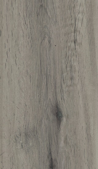 ragno woodstory r5qv.jpg