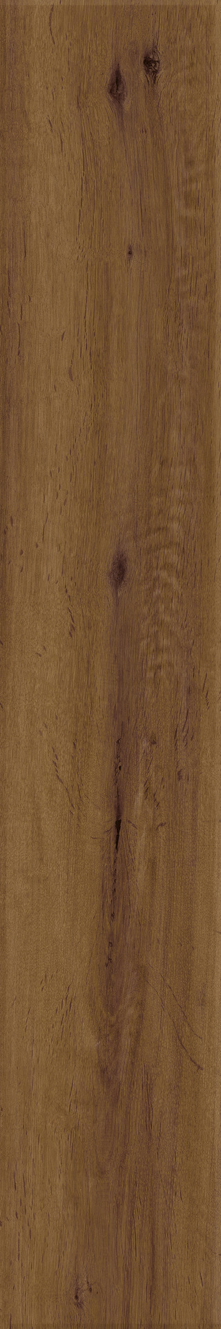 ragno woodstory r5rr.jpg